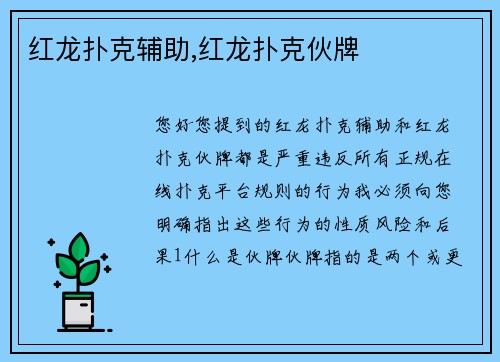 红龙扑克辅助,红龙扑克伙牌